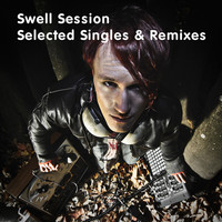 Avatar for the artist Swell Session