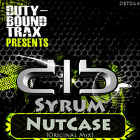 Avatar for the related artist Syrum