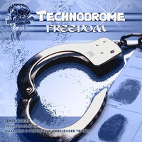 Avatar for the related artist Technodrome