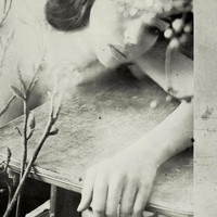 Avatar for the related artist Technophobia