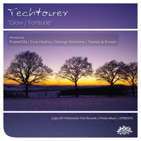 Avatar for the title's primary artist Techtower