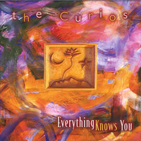 Avatar for the artist The Curios