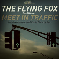 Avatar for the title's primary artist The Flying Fox