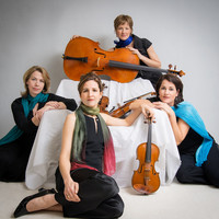 Avatar for the related artist The Lark Quartet