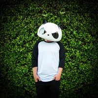 Avatar for the title's primary artist The White Panda