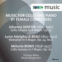 Image of Thomas Blees linking to their artist page due to link from them being at the top of the main table on this page