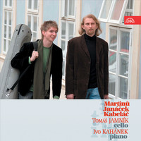 Avatar for the related artist Tomas Jamnik
