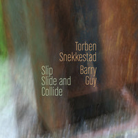 Avatar for the related artist Torben Snekkestad