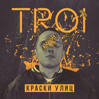 Avatar for the related artist Troi