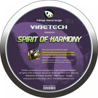 Avatar for the related artist Vibetech