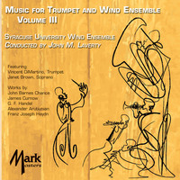 Avatar for the related artist Vince DiMartino