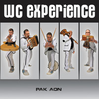 Image of WC Experience linking to their artist page due to link from them being at the top of the main table on this page