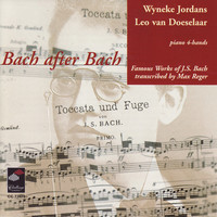 Avatar for the related artist Wyneke Jordans