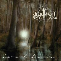 Avatar for the related artist Yggdrasil