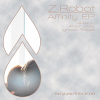 Avatar for the artist Z.Robot