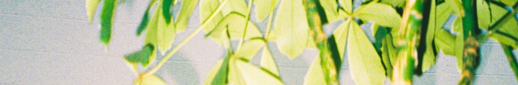 Large banner image of Hans. headlining the page