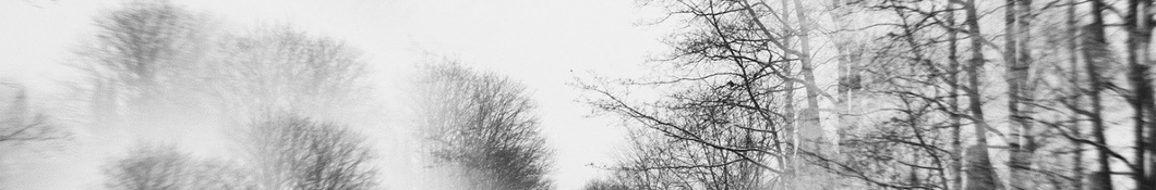 Large banner image of Low Roar headlining the page