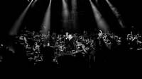 Thumbnail image for the event An Evening with Peter Hook & The Light supplied by the hosting site