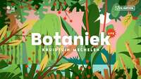 Thumbnail image for the event Botaniek Live - Daan + Emmy d'Arc supplied by the hosting site