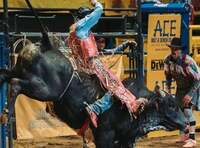 Thumbnail image for the event Dixie National Rodeo Featuring Ella Langley supplied by the hosting site