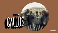 Thumbnail image for the event Gallus supplied by the hosting site