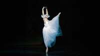 Thumbnail image for the event Giselle - International Festival Ballet & Festival Orchestra supplied by the hosting site