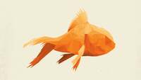 Thumbnail image for the event GOLDFISH supplied by the hosting site