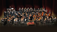 Thumbnail image for the event Greensboro Symphony Chamber Series Presents Xavier Foley, double bass supplied by the hosting site