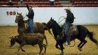 Thumbnail image for the event Houston Rodeo w/ Hank Williams Jr. supplied by the hosting site