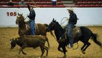 Thumbnail image for the event Houston Rodeo w/ Tim McGraw supplied by the hosting site