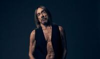 Thumbnail image for the event Iggy Pop supplied by the hosting site
