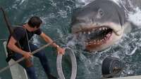 Thumbnail image for the event Jaws - 50th Anniversary with Johnny Fish & The Fins supplied by the hosting site