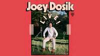 Thumbnail image for the event Joey Dosik supplied by the hosting site