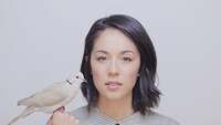 Thumbnail image for the event Kina Grannis supplied by the hosting site