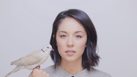 Thumbnail image for the event Kina Grannis supplied by the hosting site