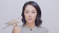 Thumbnail image for the event Kina Grannis supplied by the hosting site