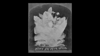 Thumbnail image for the event 89.9 KCRW Presents Mazzy Star supplied by the hosting site