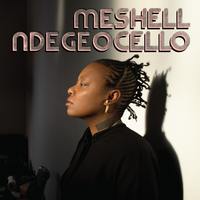Thumbnail image for the event MESHELL NDEGEOCELLO supplied by the hosting site