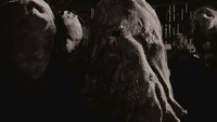 Thumbnail image for the event Portal supplied by the hosting site