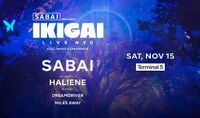 Thumbnail image for the event SABAI supplied by the hosting site