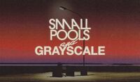 Thumbnail image for the event Smallpools and Grayscale supplied by the hosting site
