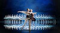 Thumbnail image for the event State Ballet Theatre of Ukraine supplied by the hosting site