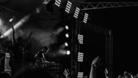 Thumbnail image for the event Steve Forbert supplied by the hosting site