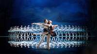 Thumbnail image for the event Swan Lake by International Ballet Stars supplied by the hosting site