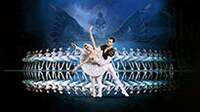 Thumbnail image for the event Swan Lake by International Ballet Stars supplied by the hosting site