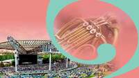 Thumbnail image for the event Symphony At Sunset supplied by the hosting site