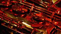 Thumbnail image for the event The Lowdown Brass Band w/ TAE and the Neighborly supplied by the hosting site