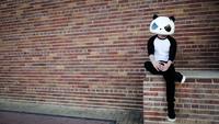 Thumbnail image for the event The White Panda supplied by the hosting site