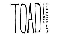 Thumbnail image for the event Toad The Wet Sprocket supplied by the hosting site