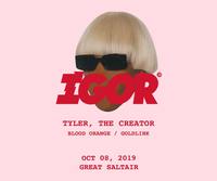 Thumbnail image for the event *TYLER, THE CREATOR supplied by the hosting site